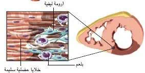 http://oloommagazine.com/images/Articles/21/SCI2005b21N9_H01_004207.jpg