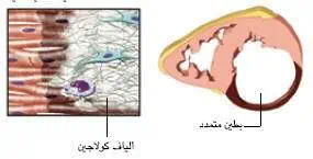 http://oloommagazine.com/images/Articles/21/SCI2005b21N9_H01_004208.jpg