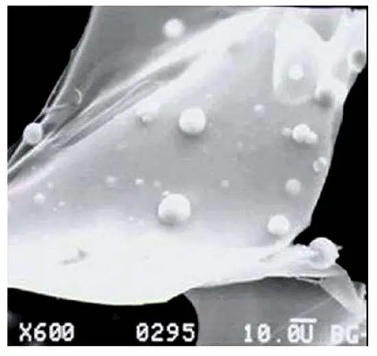 http://oloommagazine.com/images/Articles/21/SCI2005b21N9_H01_004211.jpg
