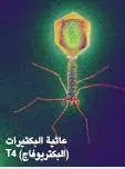 http://oloommagazine.com/images/Articles/21/SCI2005b21N7-8_H01_004123.jpg