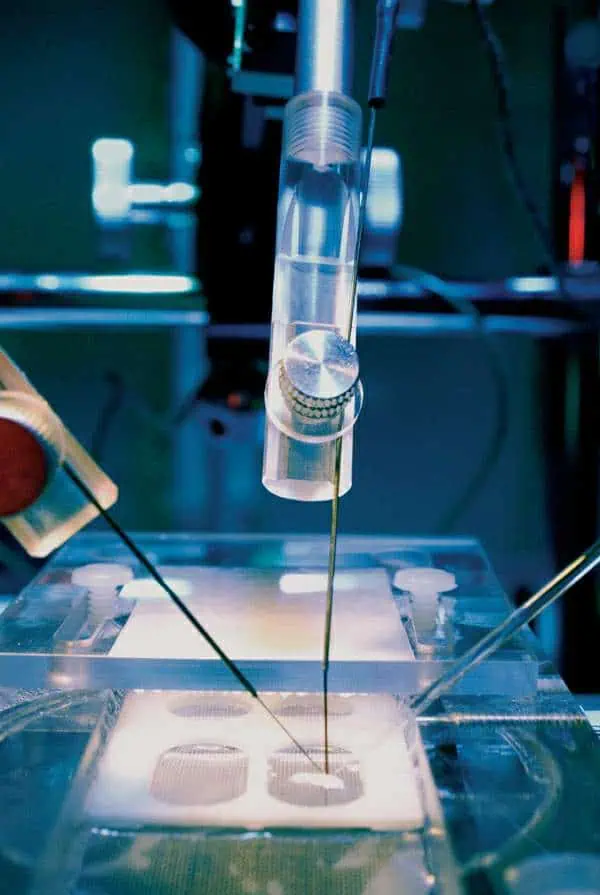 http://oloommagazine.com/images/Articles/21/SCI2005b21N3-4_H03_003939.jpg