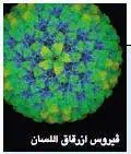 http://oloommagazine.com/images/Articles/21/SCI2005b21N10-11_H01_00131.gif