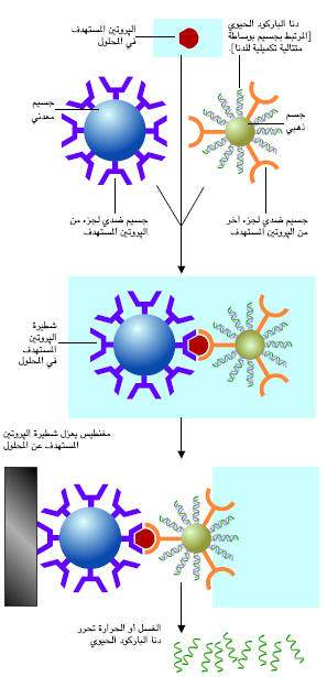 http://oloommagazine.com/images/Articles/21/SCI2005b21N1-2_H05_00958.jpg