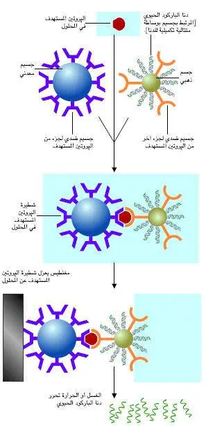 http://oloommagazine.com/images/Articles/21/SCI2005b21N1-2_H05_00958.jpg