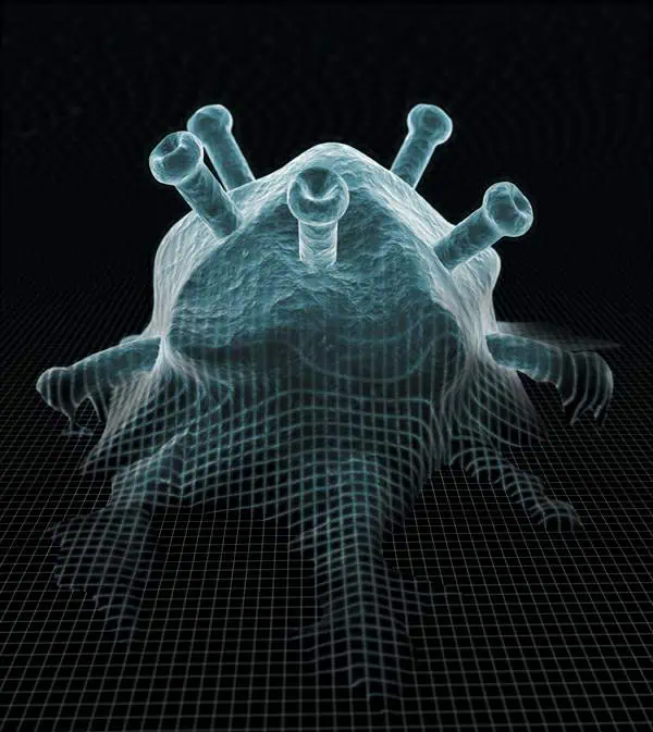 http://oloommagazine.com/images/Articles/21/SCI2005b21N7-8_H01_004120.jpg