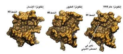 http://oloommagazine.com/images/Articles/21/SCI_index_2005b21N1-2_H03_00939.jpg