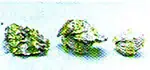http://oloommagazine.com/images/Articles/SCI1996m-12-N-3_P73111_14.jpg