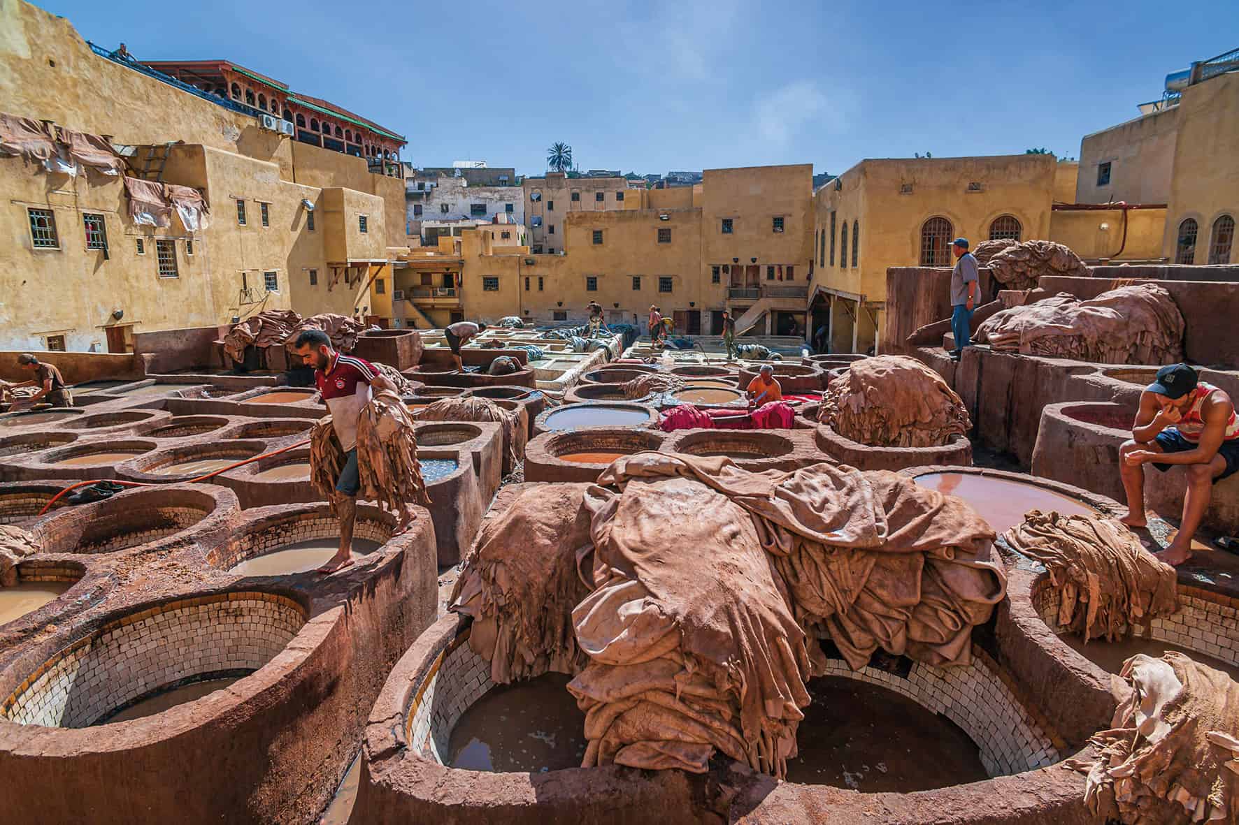 دباغة الجلود