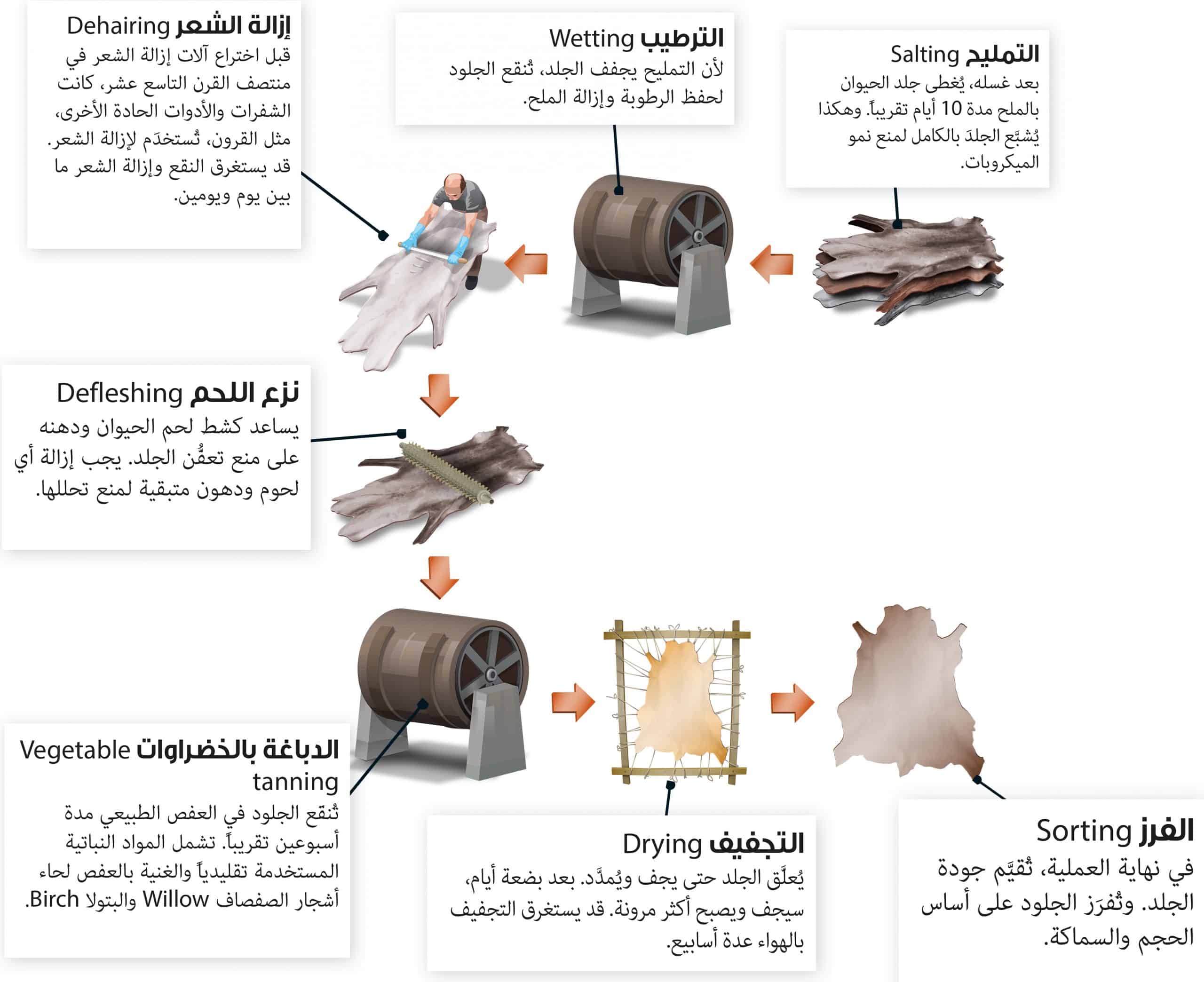دباغة الجلود