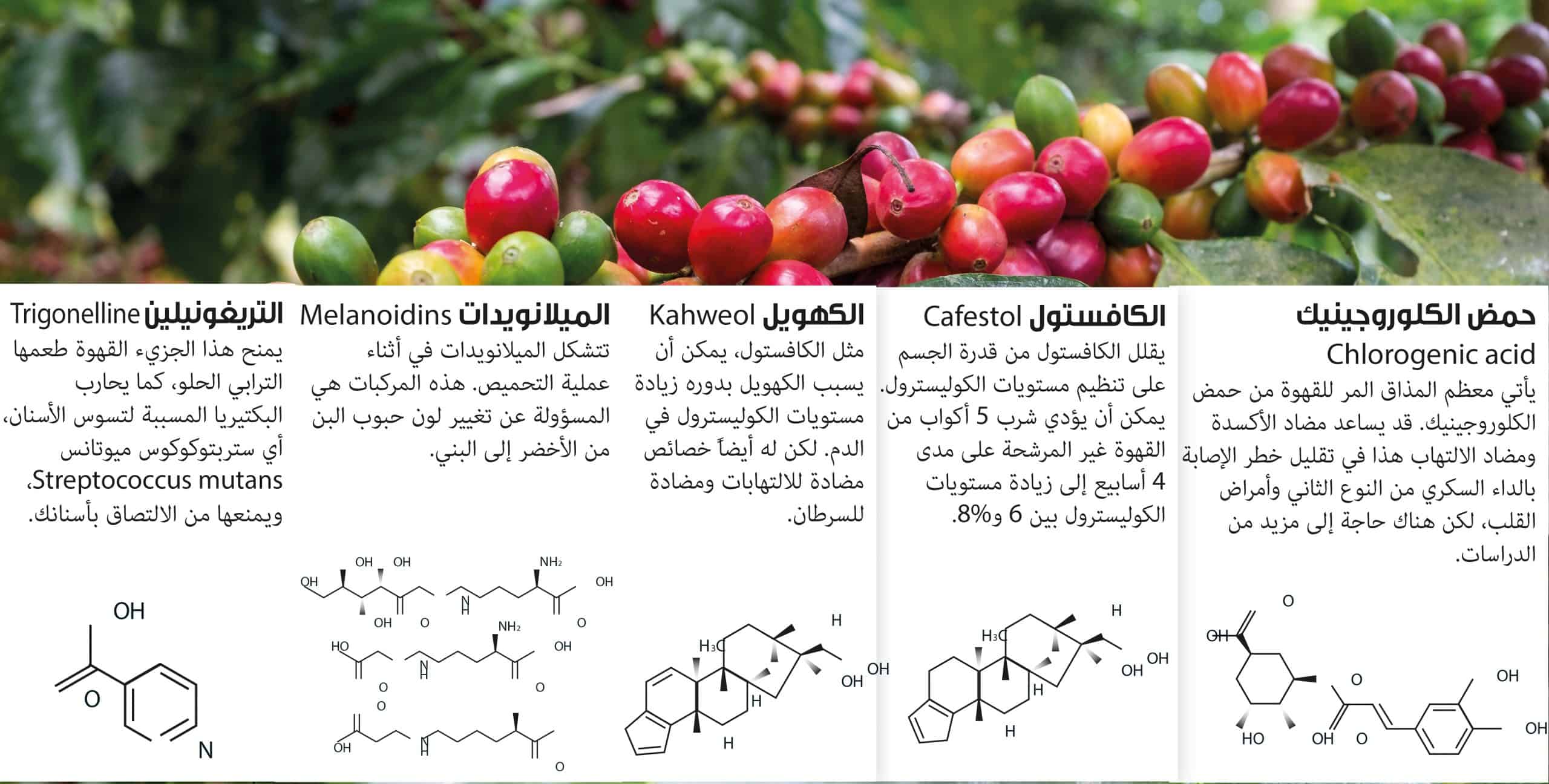 الشاي والقهوة