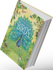 اصدارات كتب