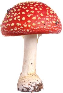صنع الزجاج