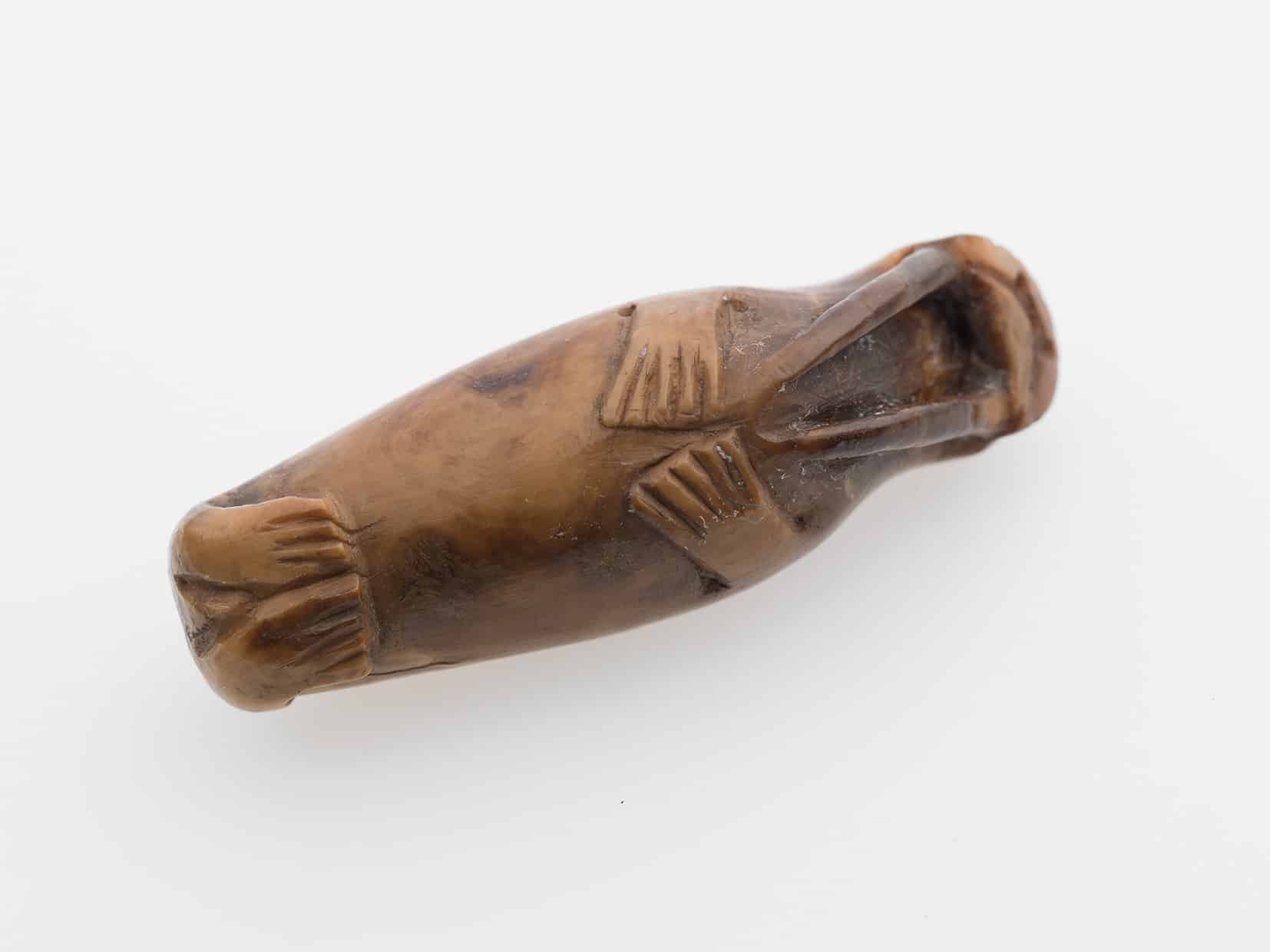 عاج