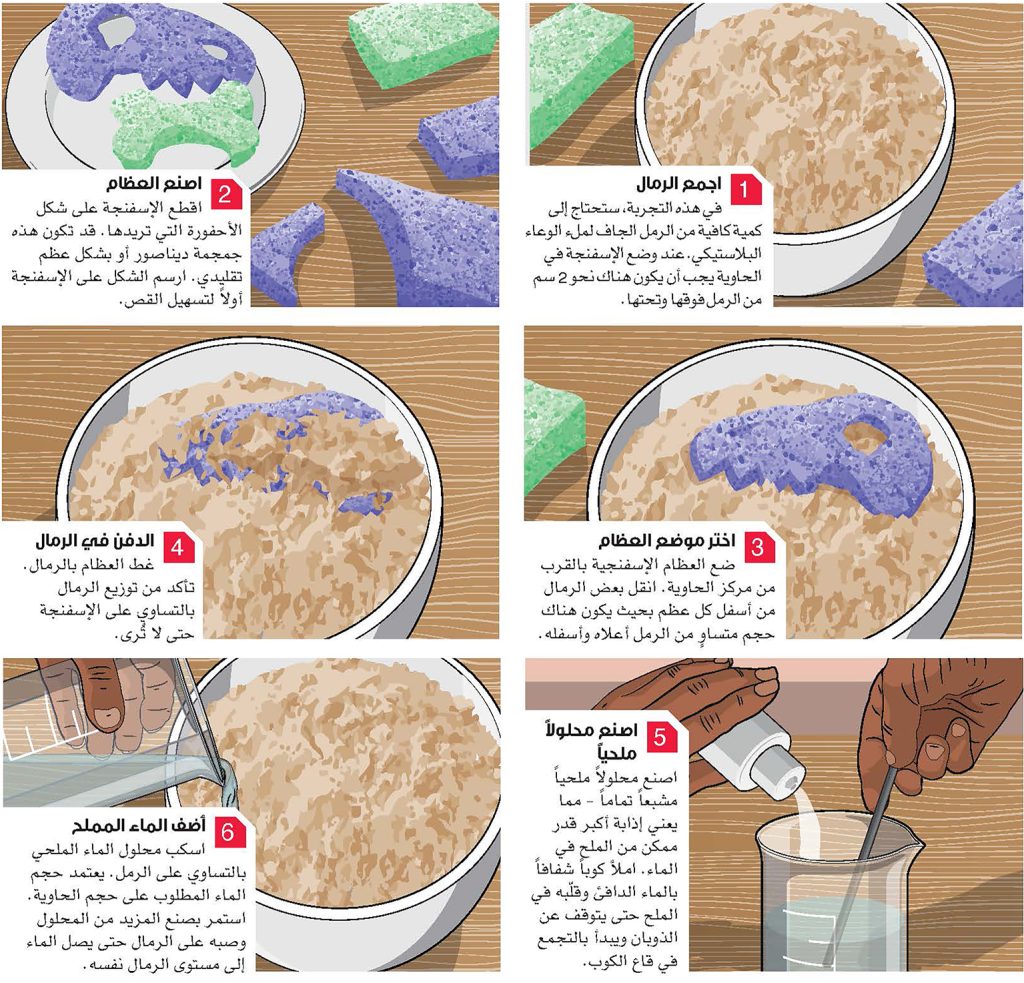 صنع الأحافير