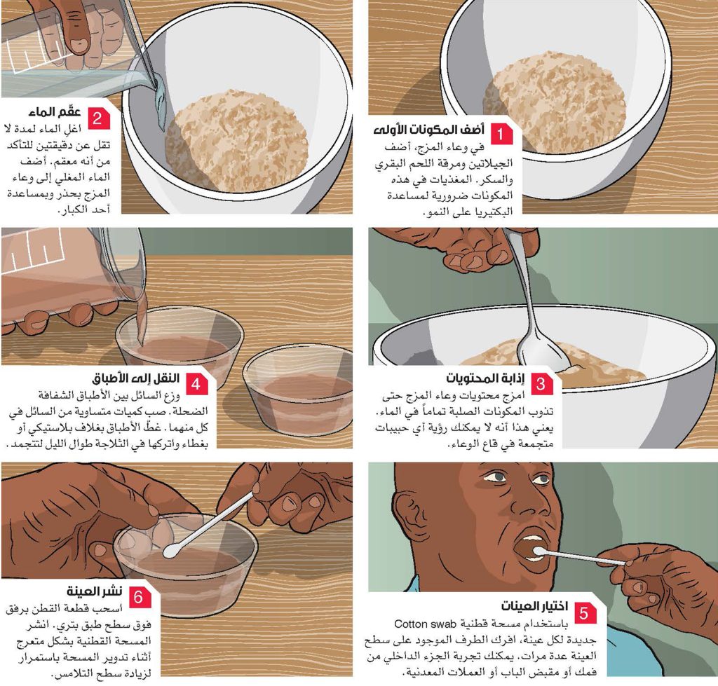 ازرع البكتيريا