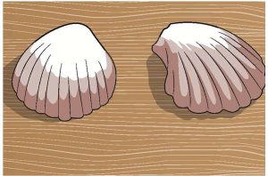 حمضية المحيطات