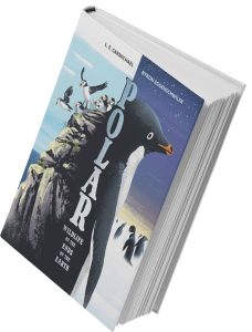 المكتبة مايو 2023