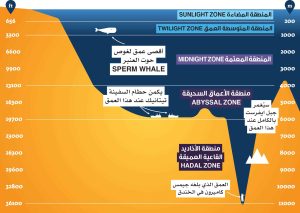 مخلوقات الأعماق