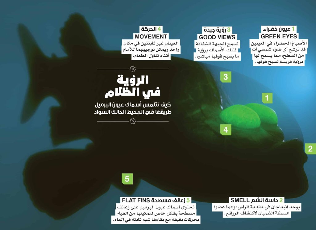 مخلوقات الأعماق