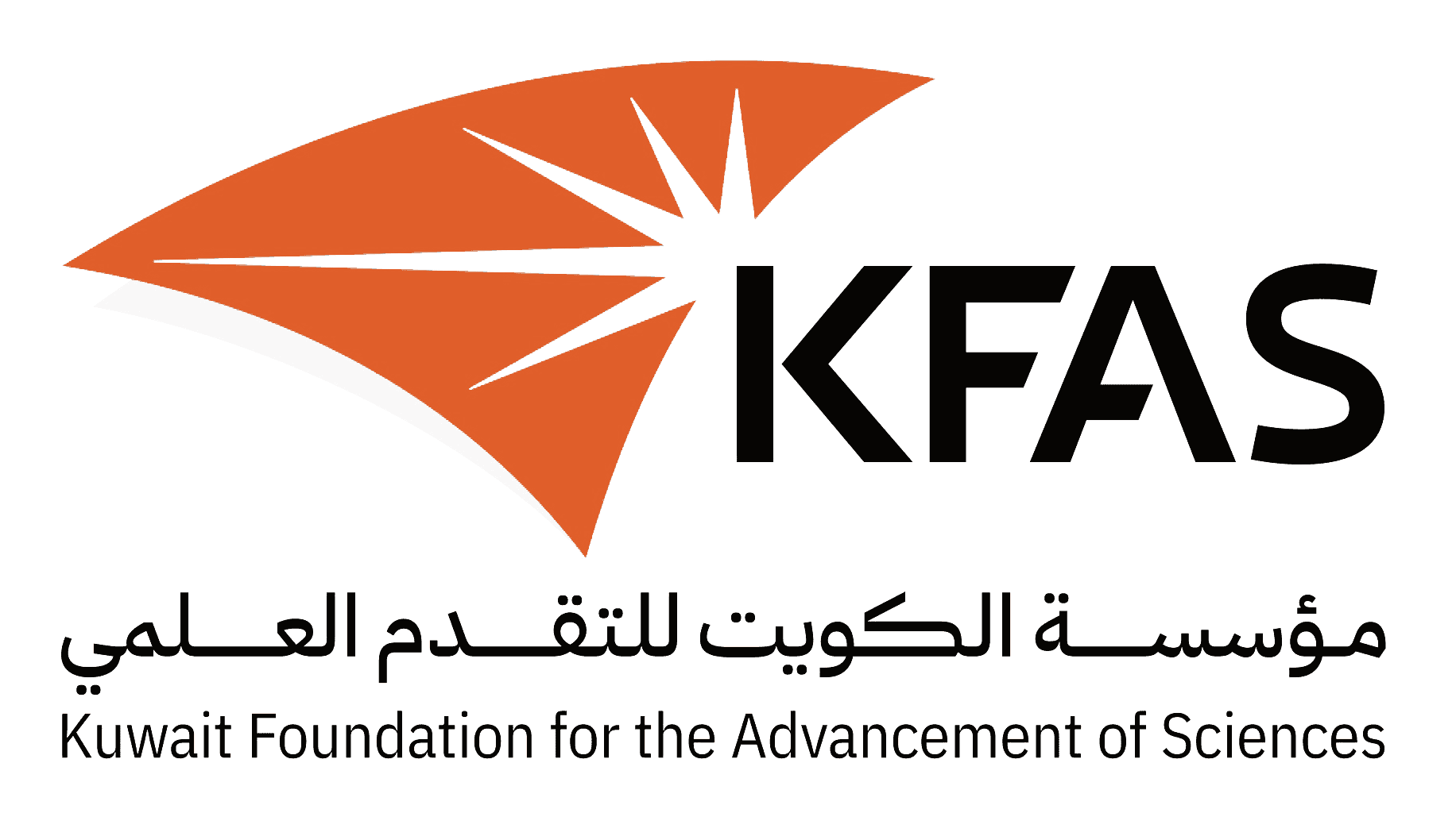 مدير عام امرأة