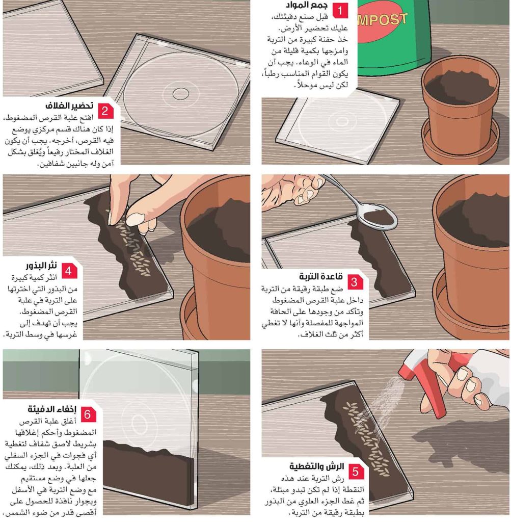 علب الأقراص المضغوطة