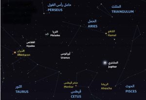 رصد النجوم في 2024