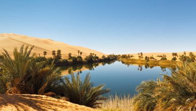 واحات الأرض الرائعة