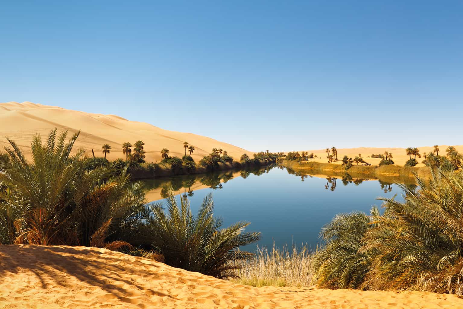 واحات الأرض الرائعة